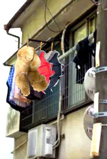 生き物ルーム第40