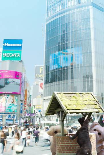 生き物ルーム第40