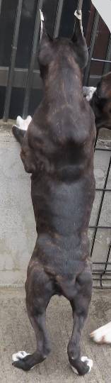 生き物ルーム第40