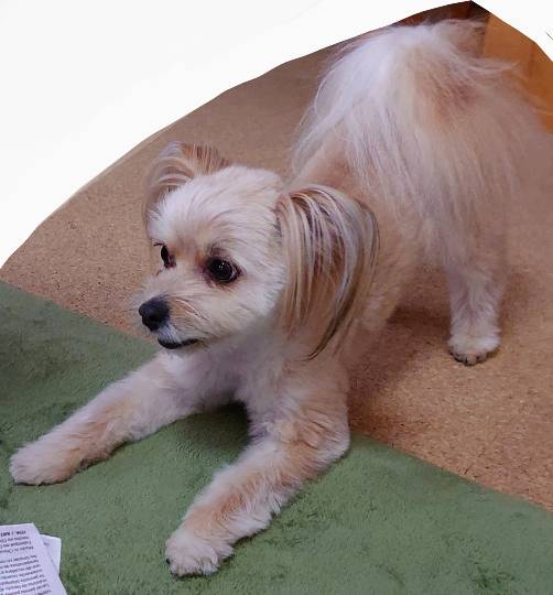 生き物ルーム第40