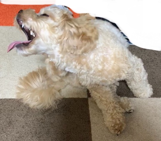 生き物ルーム第40