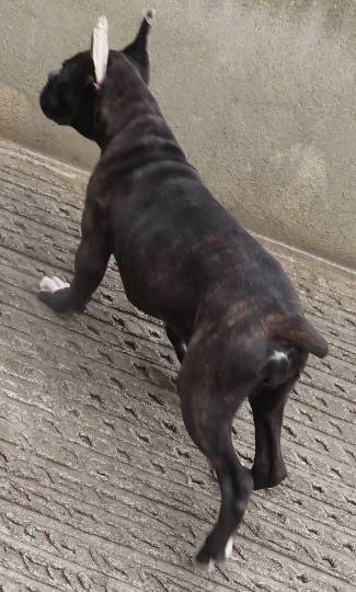 生き物ルーム第40