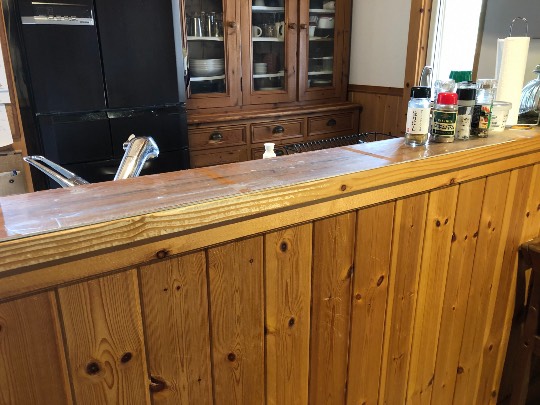 生き物ルーム第41