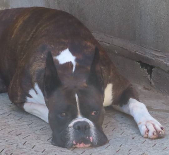 生き物ルーム第40