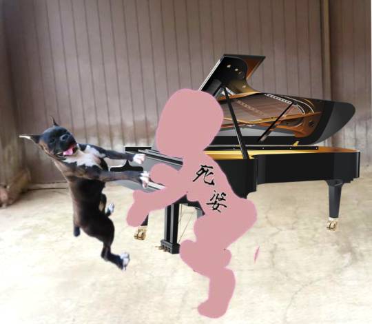 生き物ルーム第40