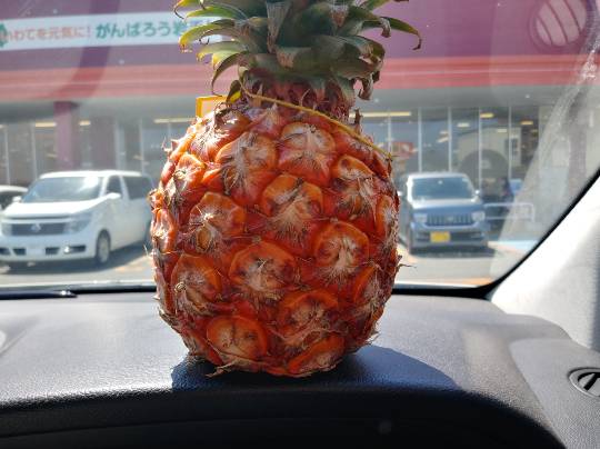 ★ドンキ♡♡ロピア 雑談26★