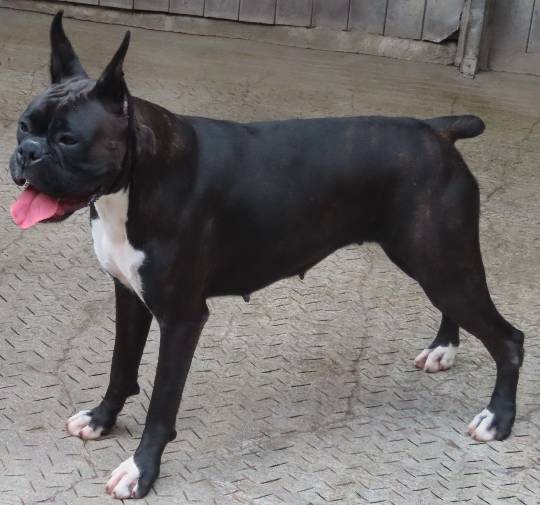 生き物ルーム第40