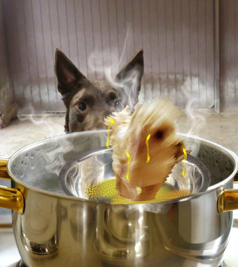 生き物ルーム第41