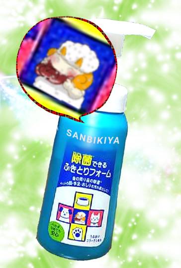 生き物ルーム第40