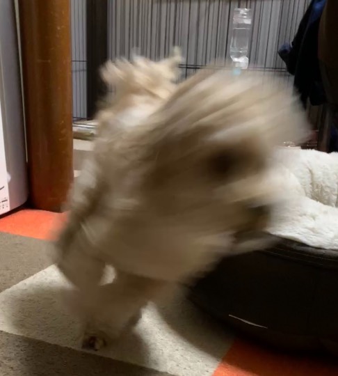 生き物ルーム第41