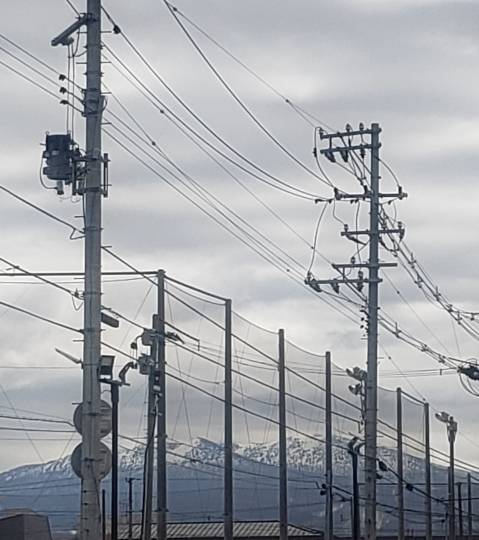 マスク同窓会詰所兼ニューフェイス歓迎所20