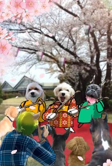 生き物ルーム第40