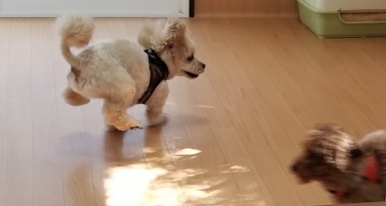 生き物ルーム第41