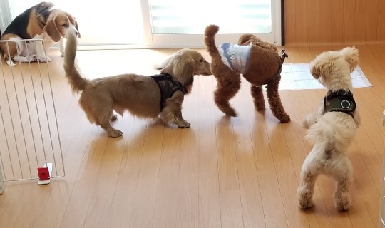 生き物ルーム第40