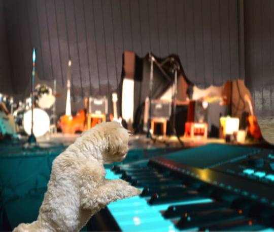 生き物ルーム第40