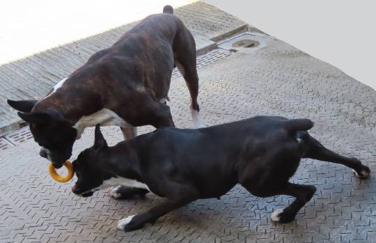 生き物ルーム第40