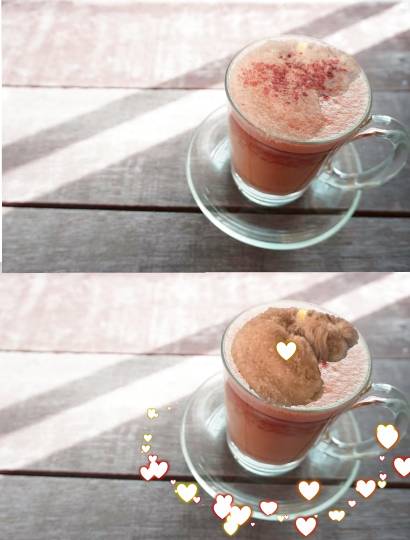 生き物ルーム第41