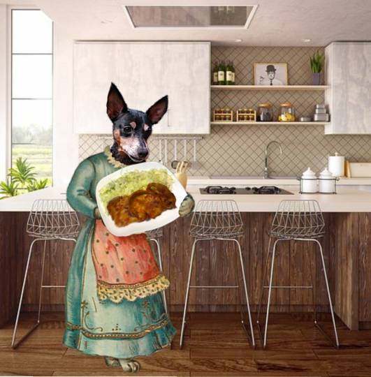 生き物ルーム第41