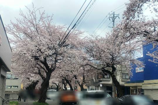 マスク同窓会詰所兼ニューフェイス歓迎所21