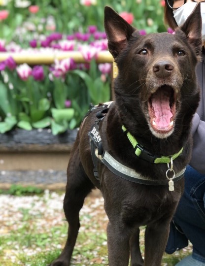 生き物ルーム第40