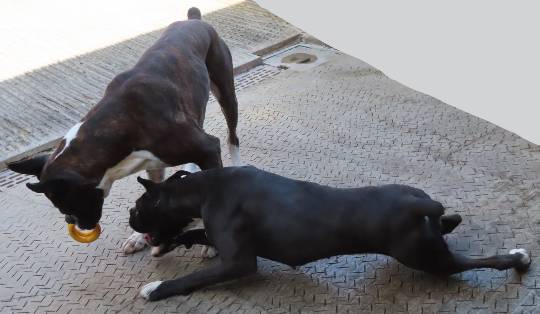 生き物ルーム第40