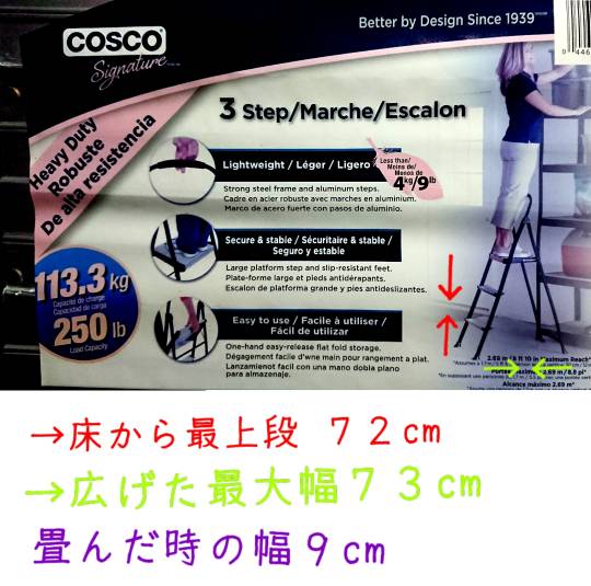 生き物ルーム第41