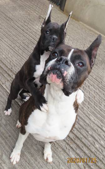 生き物ルーム第40