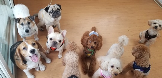 生き物ルーム第40