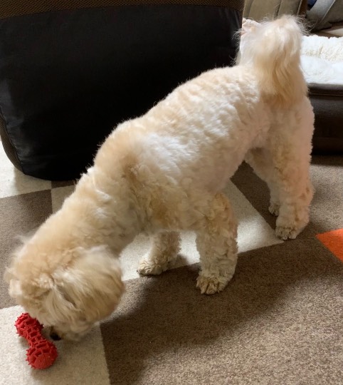 生き物ルーム第40