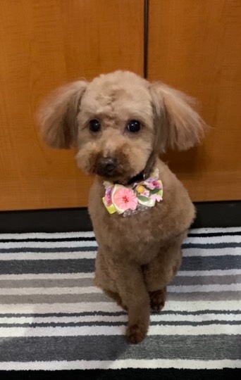 生き物ルーム第41