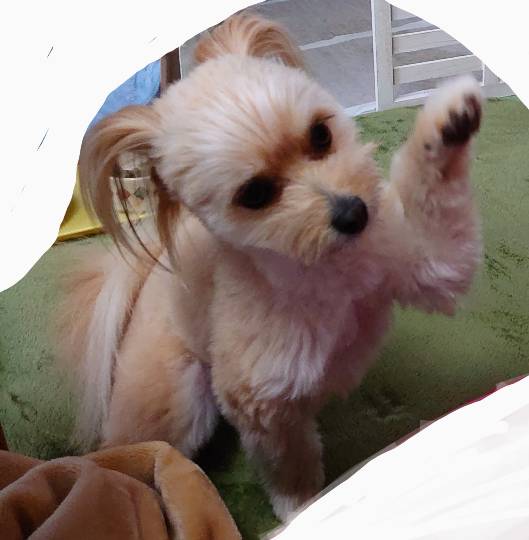 生き物ルーム第41