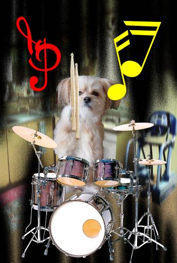 生き物ルーム第40