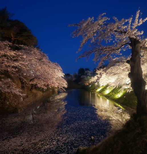 ★ドンキ♡♡ロピア 雑談25★