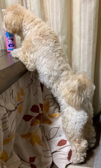 生き物ルーム第40