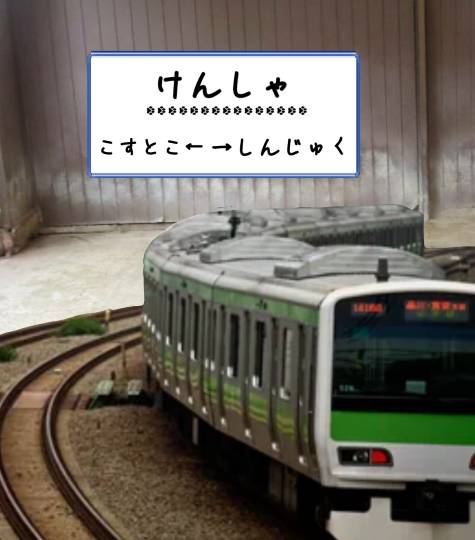 生き物ルーム第40