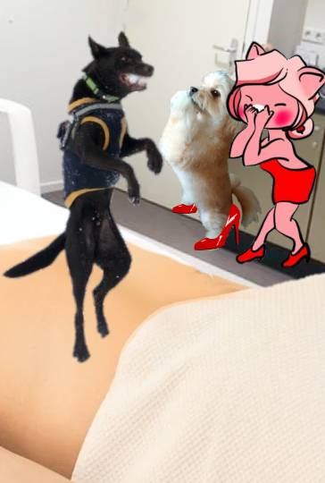 生き物ルーム第40