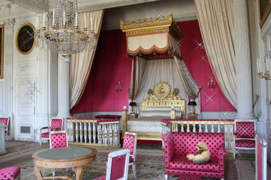 生き物ルーム第41