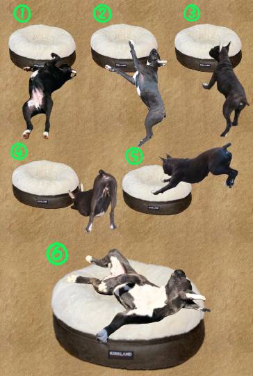 生き物ルーム第40