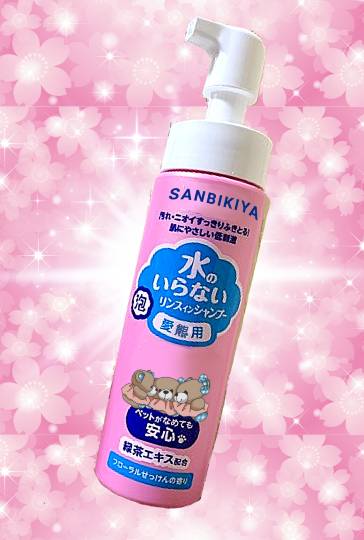 生き物ルーム第40