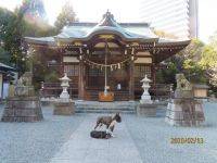 生き物ルーム第40