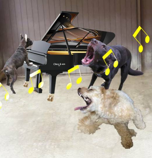 生き物ルーム第40