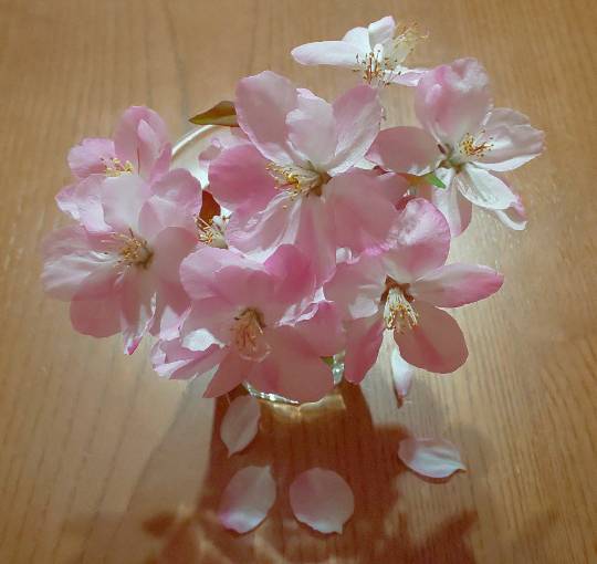 ◆⑩関西版 雑談◆〜関西以外の方も話の輪にどうぞ♪