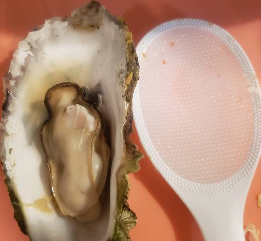 マスク同窓会詰所兼ニューフェイス歓迎所20