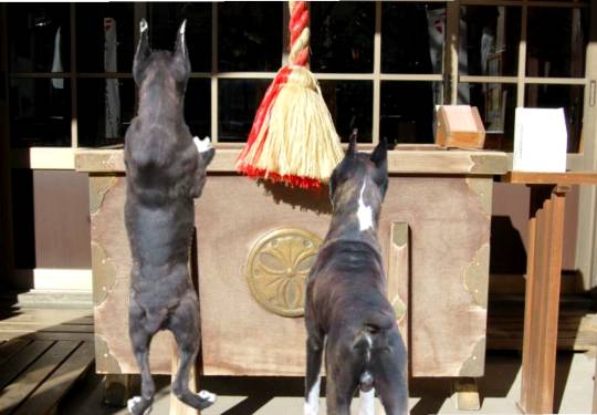 生き物ルーム第40