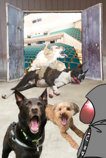 生き物ルーム第40