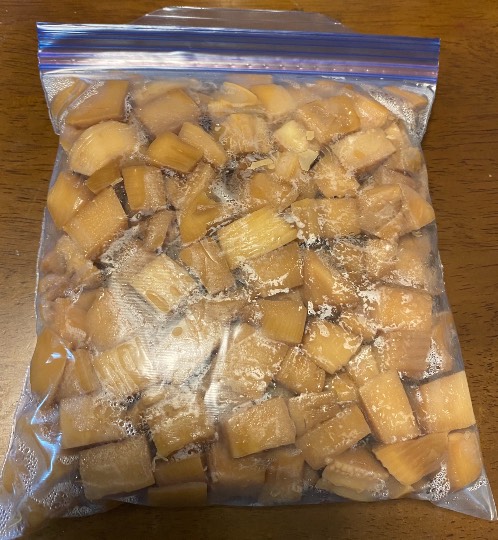 生き物ルーム第41