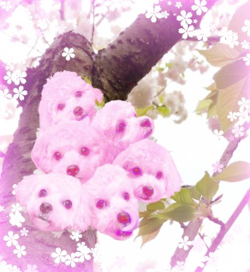 生き物ルーム第40