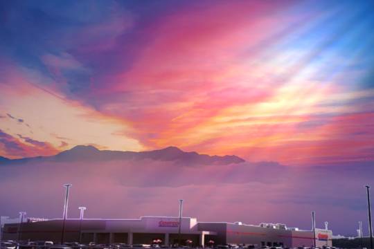 つぶやき57 なるようにする2021