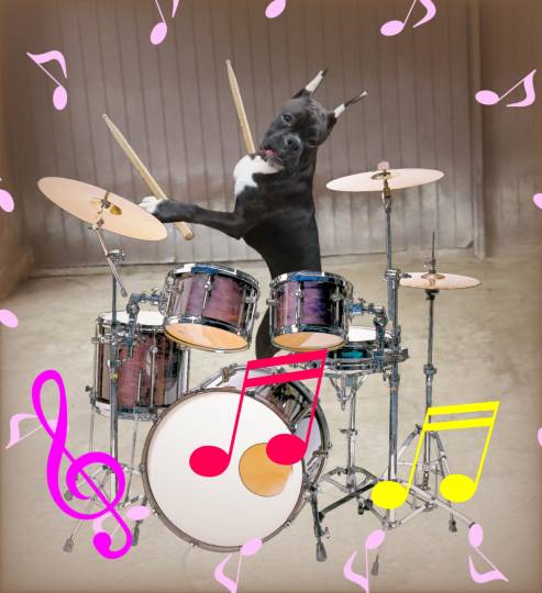 生き物ルーム第40