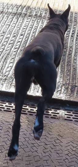 生き物ルーム第40